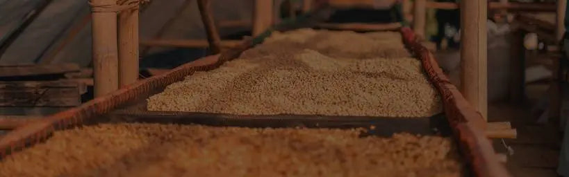 Waarom stijgen de koffieprijzen? - Kaldi Koffie en Thee