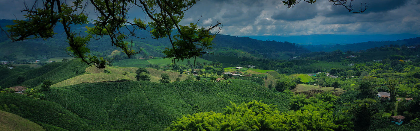 Colombia: Zachte smaken uit Zuid-Amerika