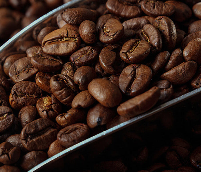 <h1>Kaldi Blend</h1><div class="metafield-rich_text_field"><h2>De kunst van het koffie vermengen</h2></div>