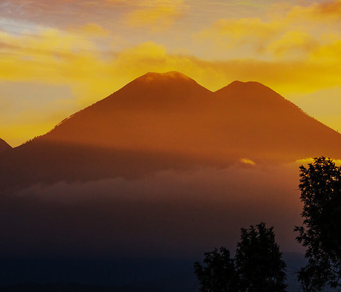 <h1>Bright Colourful Guatemala</h1><div class="metafield-rich_text_field"><h2>De zonovergoten smaak van Guatemala</h2></div>