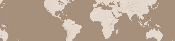 <h2>Third wave koffie</h2>