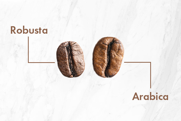 Verschil in vorm en formaat tussen Arabica en Robusta koffiebonen