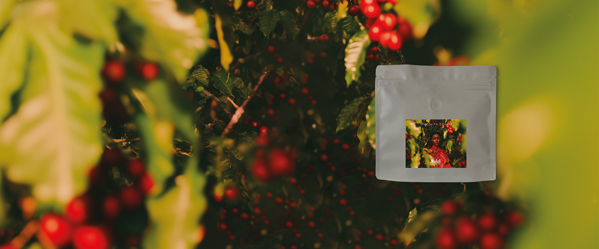 Specialty koffie maart 2025