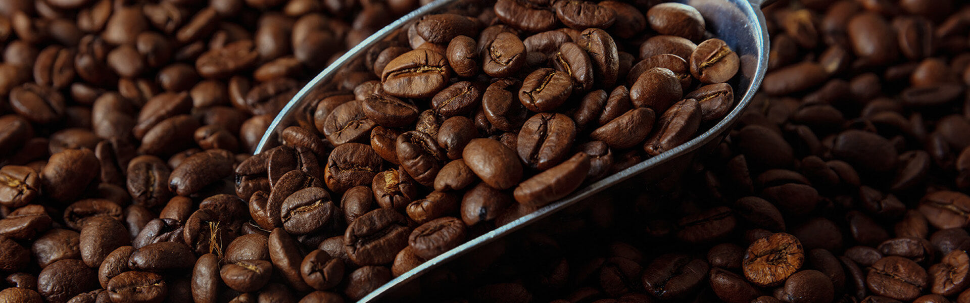 De beste koffie online bestellen