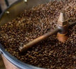 De beste koffiebonen in de wereld
