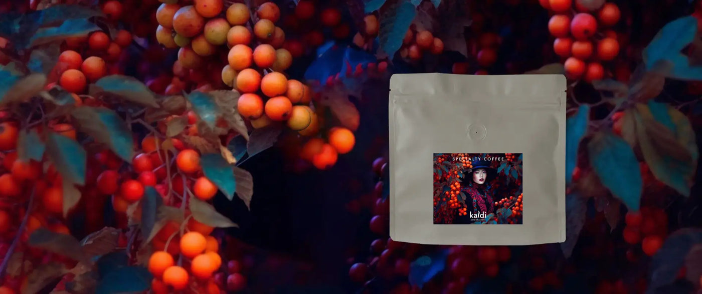 Specialty koffie augustus 2025 - Kaldi Koffie en Thee