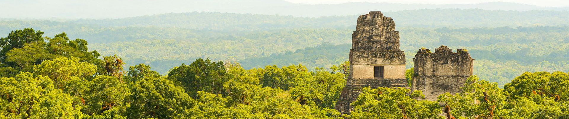 Guatemala: Koffie uit het land van de Maya's