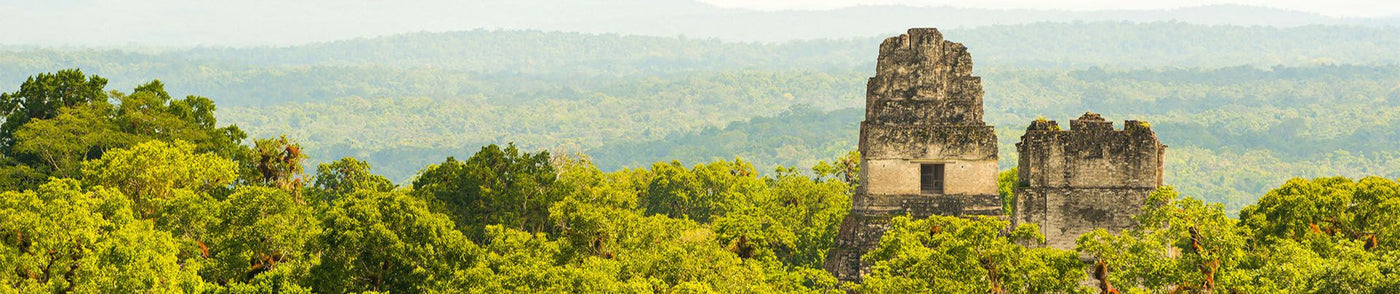 Guatemala: Koffie uit het land van de Maya's