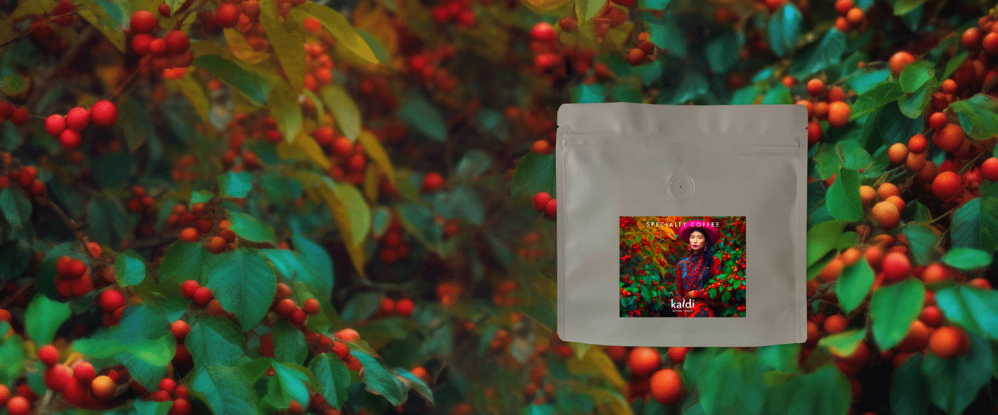 Specialty koffie november 2025 - Kaldi Koffie en Thee