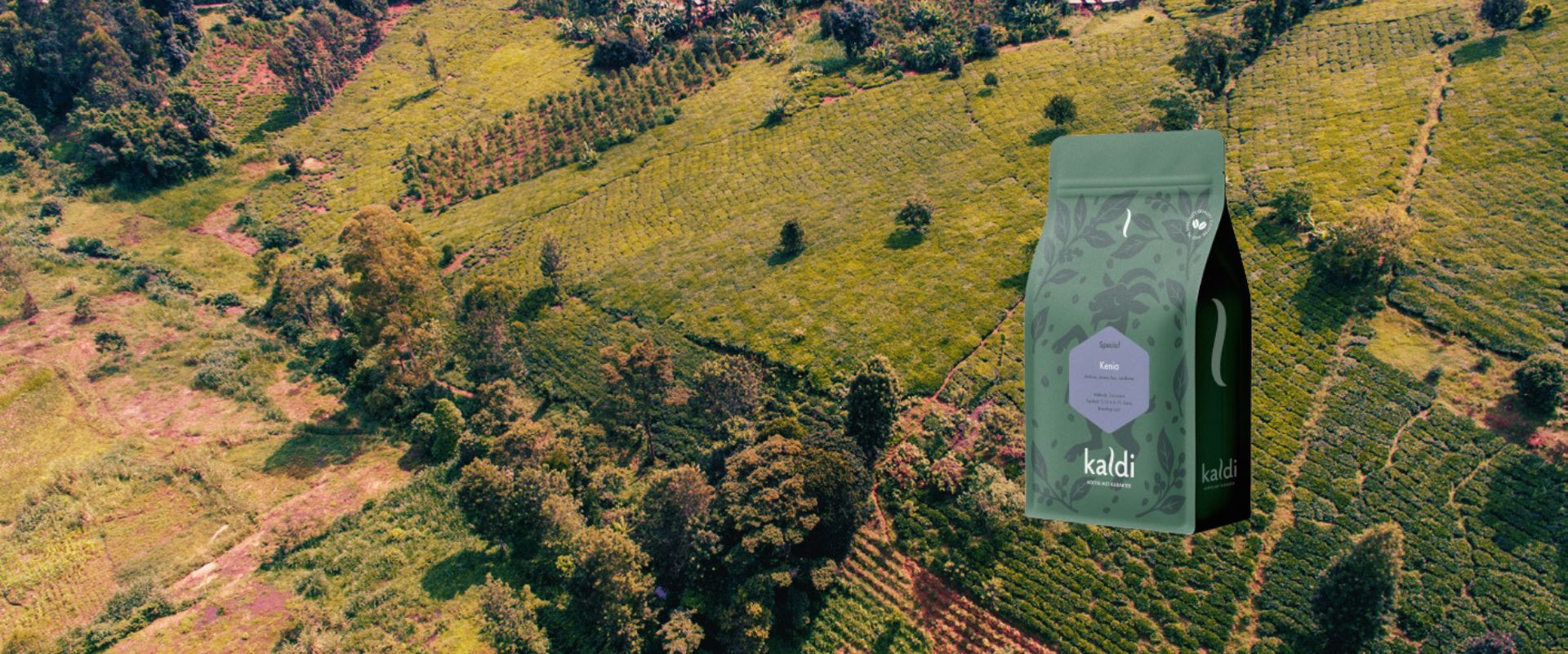 Nieuw: Special koffie Kenia