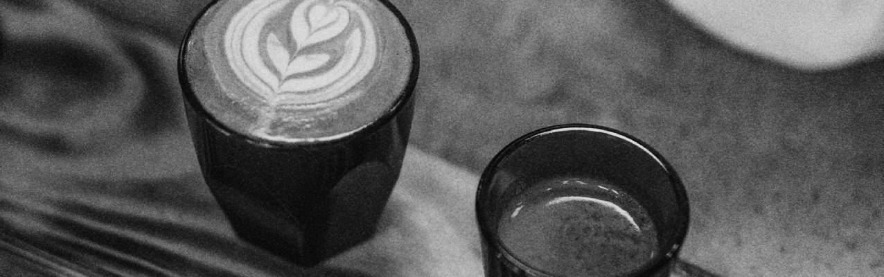 Welke koffiesoorten zijn er? - Kaldi Koffie en Thee