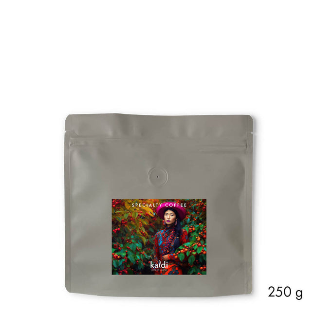 Kaldi Specialty Mexico Chiapas