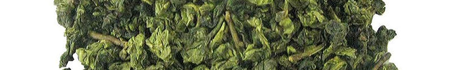Groene Oolong Tie Kuan Yin thee