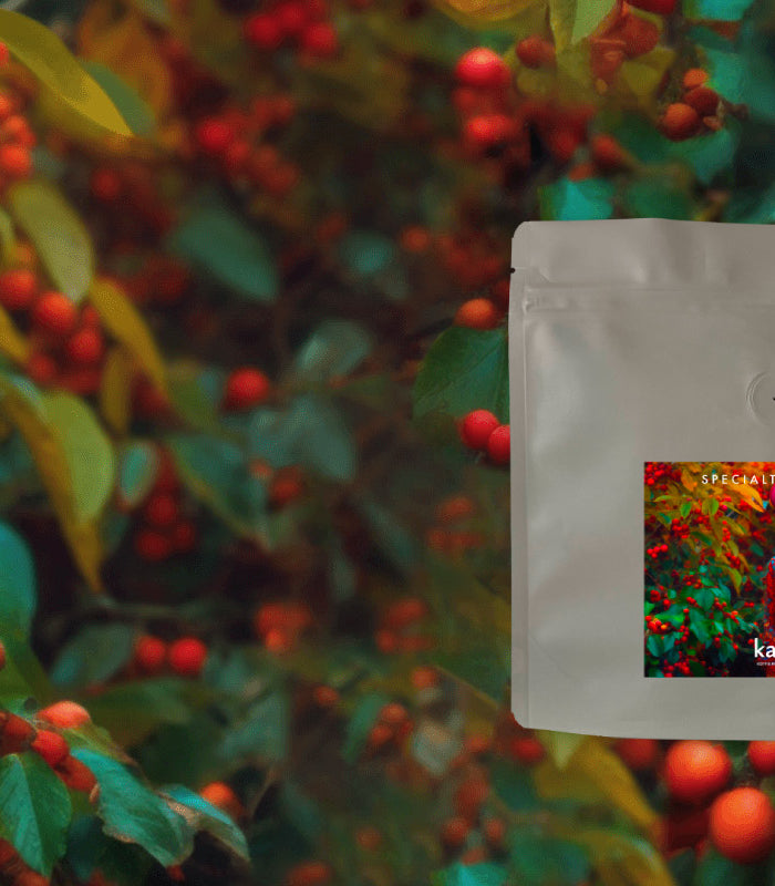 <h2><strong>Specialty koffie Mexico Chiapas</strong></h2>