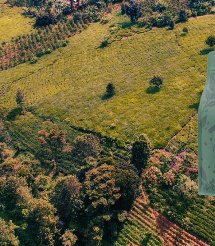 <h3>Ontdek onze nieuwe koffie uit</h3>