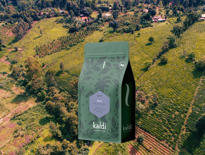 <h3>Ontdek onze nieuwe koffie uit</h3>