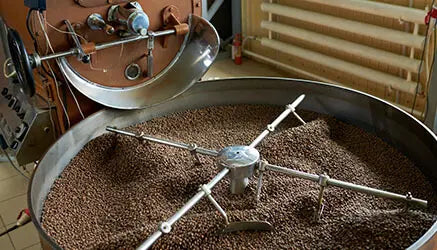 <h1>Quality coffee beans</h1>