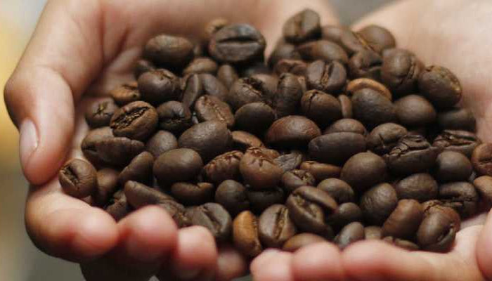 <h1>JURA coffee beans</h1>