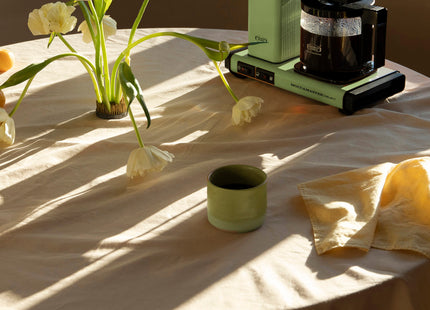 Moccamaster KBG - Select Pastel Green