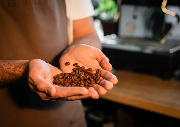 Barista kwaliteit koffiebonen