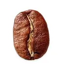 Arabico koffieboon